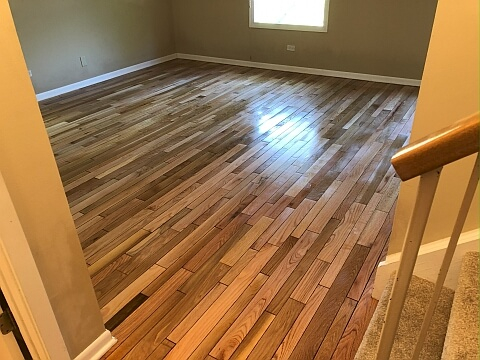 Professional hardwood floor polishing